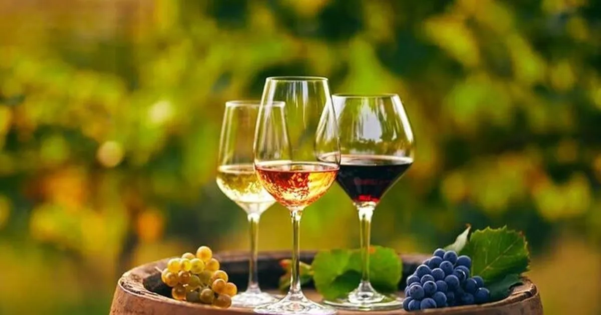 Olive grove and tasting table on an olive oil, wine and honey tour from Chania, Crete Greece
